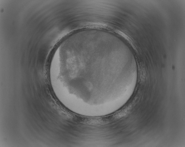 X0000067841074200604271614