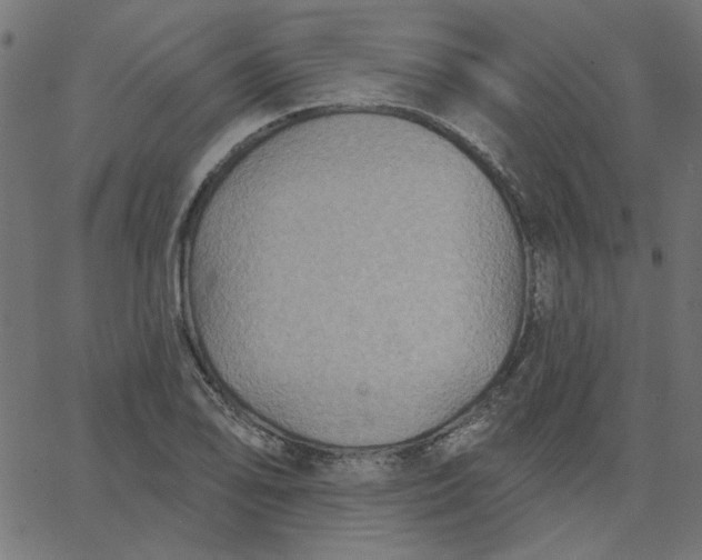 X0000067841078200604271614