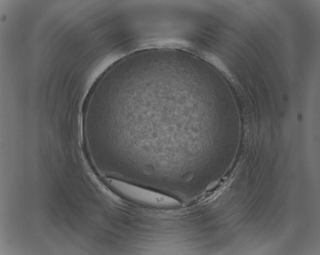 X0000067841079200604271614