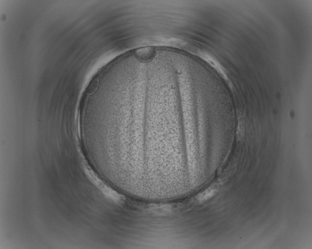 X0000067841080200604271614