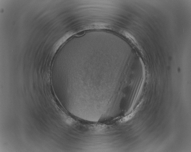 X0000067841081200604271614