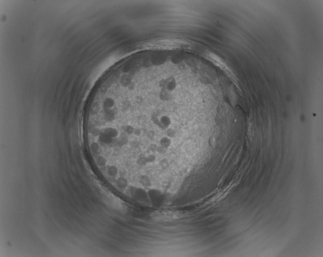 X0000067841083200604271614