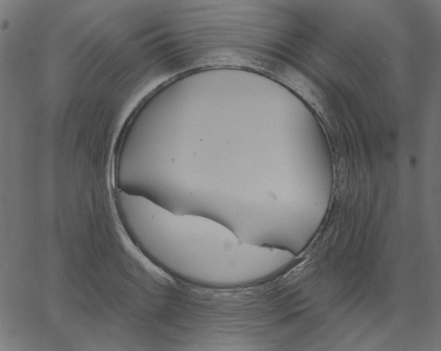 X0000067841084200604271614