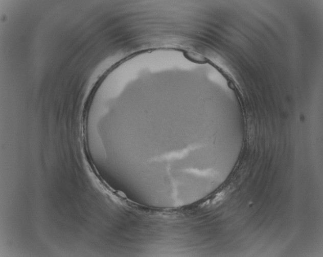 X0000067841088200604271613