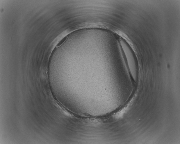 X0000067841089200604271613