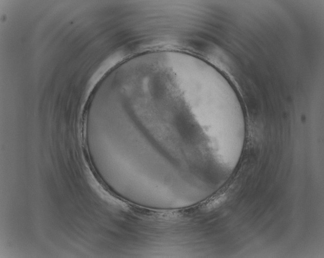 X0000067841090200604271613