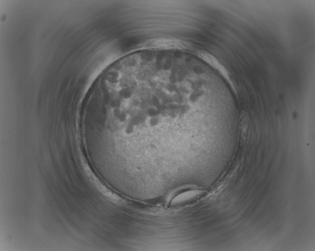 X0000067841091200604271613