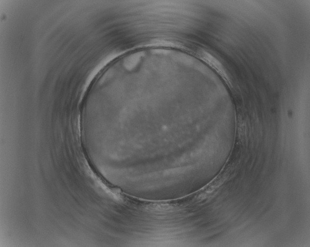 X0000067841092200604271613