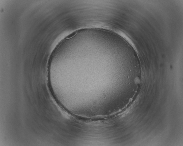 X0000067841093200604271613