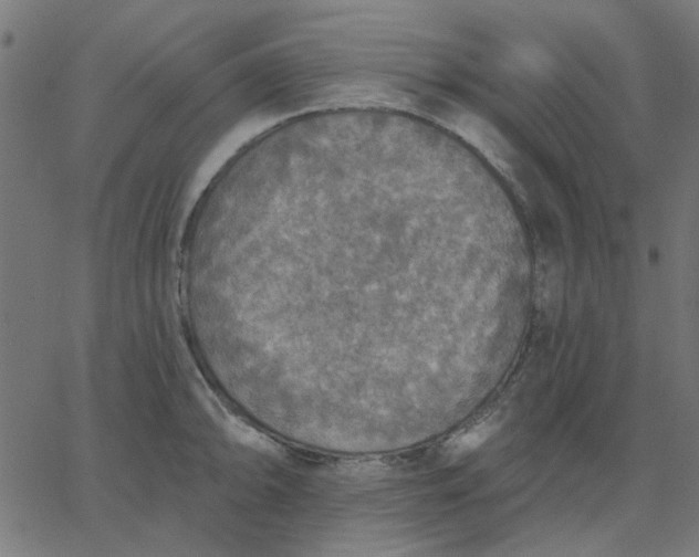 X0000067841094200604271613