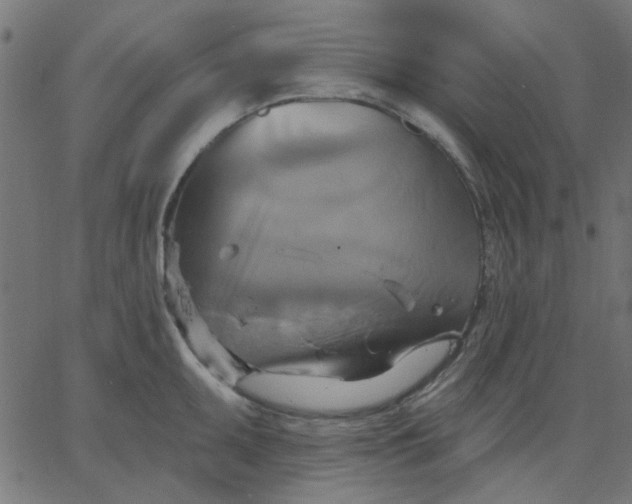 X0000067841095200604271613