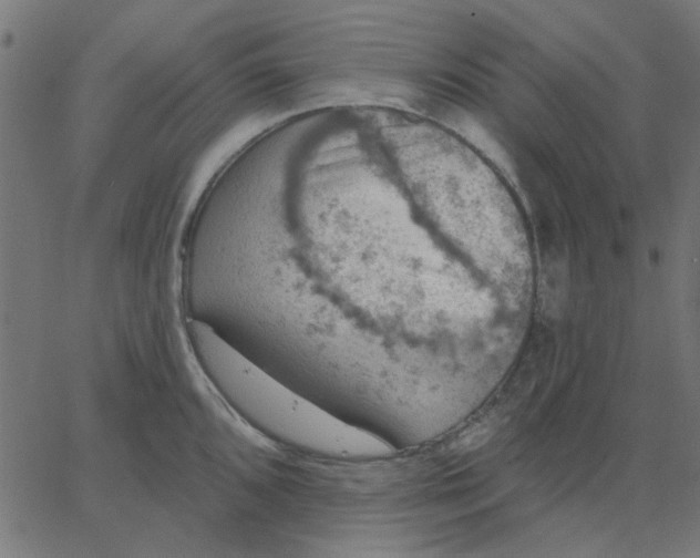 X0000067841096200604271613