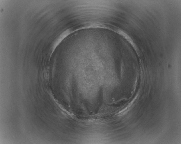 X0000067841097200604271613