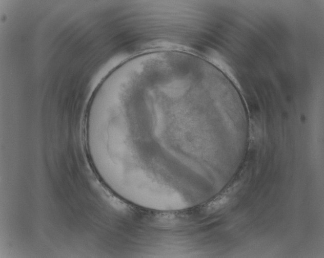 X0000067841098200604271613