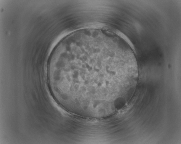 X0000067841099200604271613