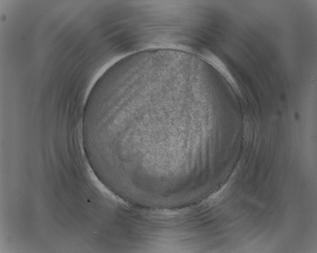 X0000067841100200604271613