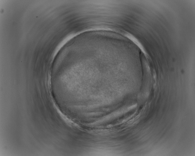 X0000067841101200604271613