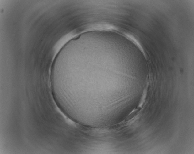 X0000067841103200604271613