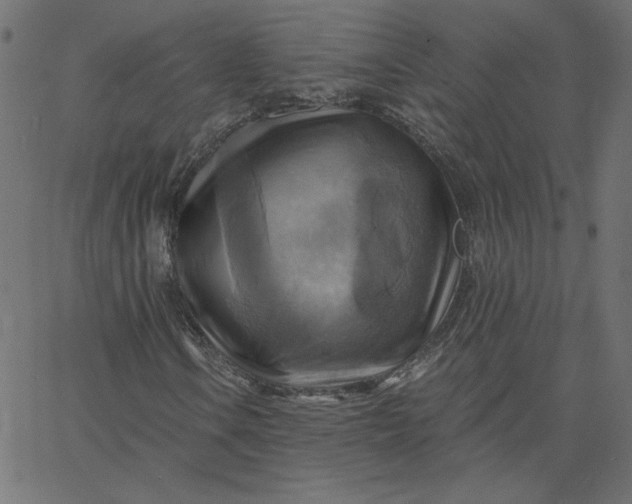 X0000067841106200604271612