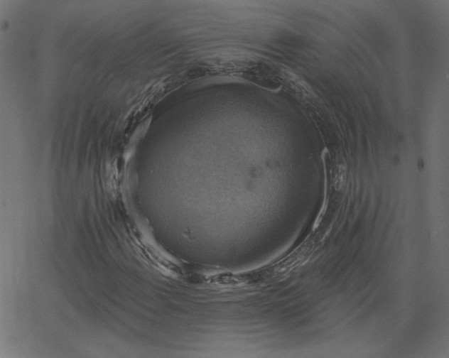 X0000067841108200604271612