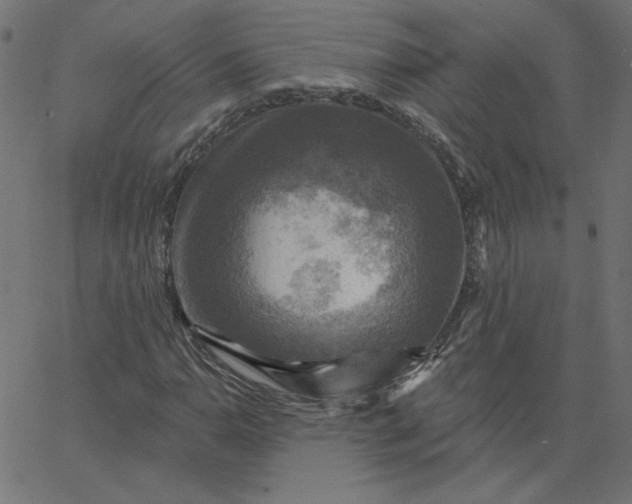 X0000067841110200604271612