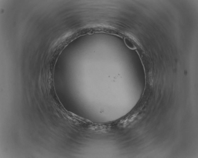 X0000067841111200604271612