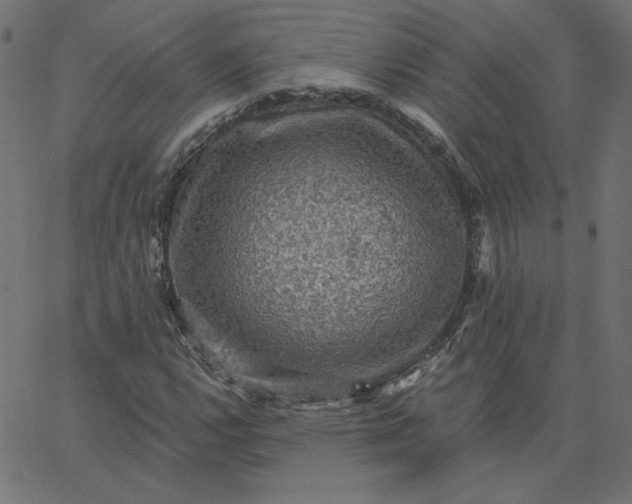 X0000067841112200604271613