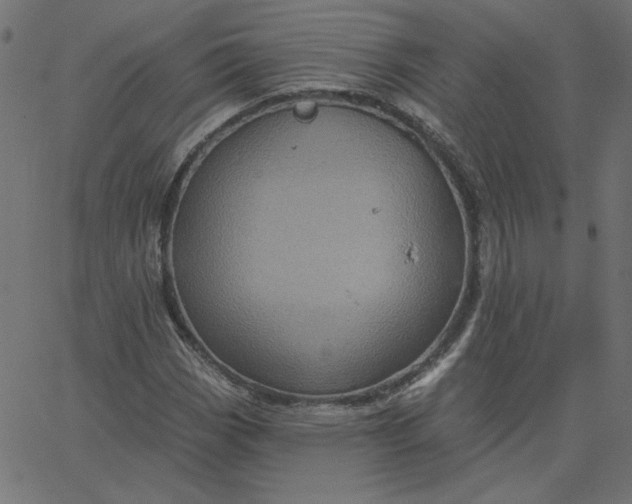 X0000067841113200604271613