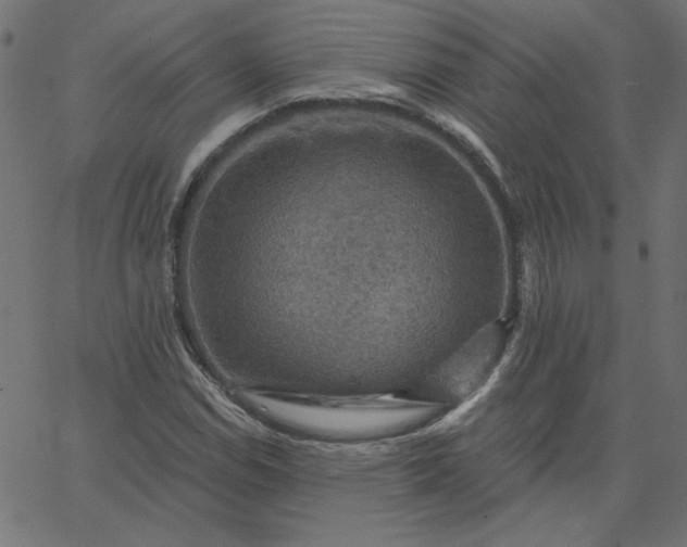 X0000067841114200604271613