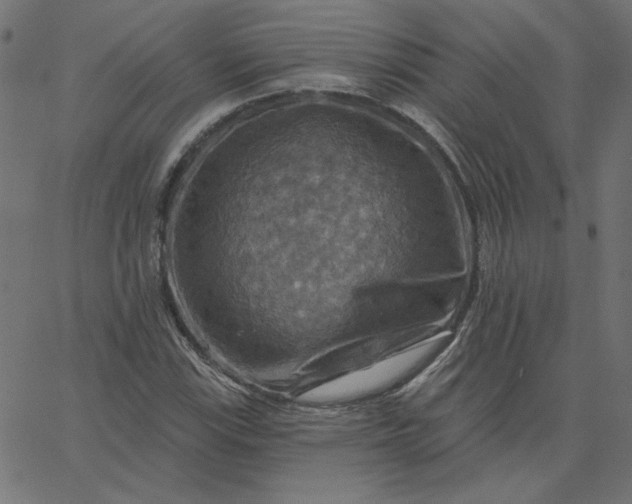 X0000067841115200604271613