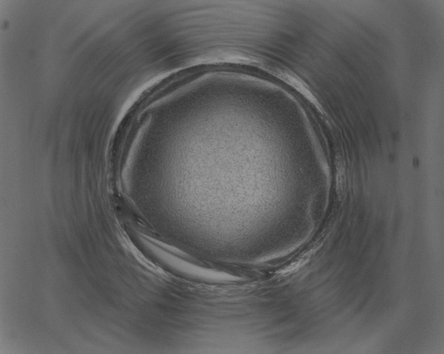 X0000067841116200604271613