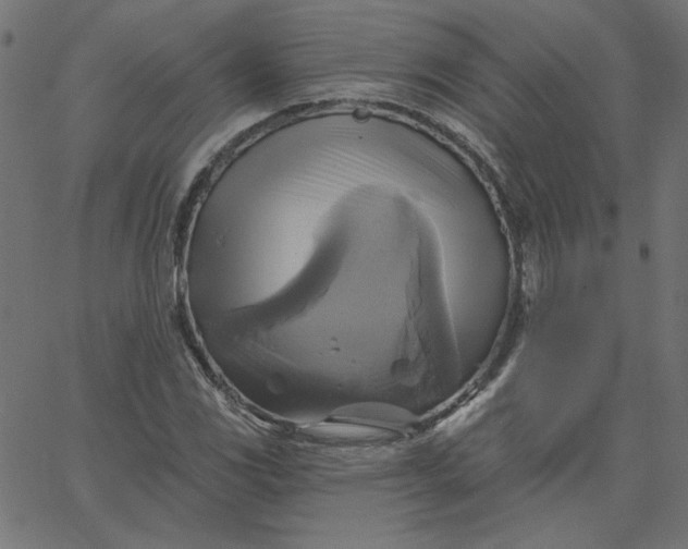 X0000067841117200604271613