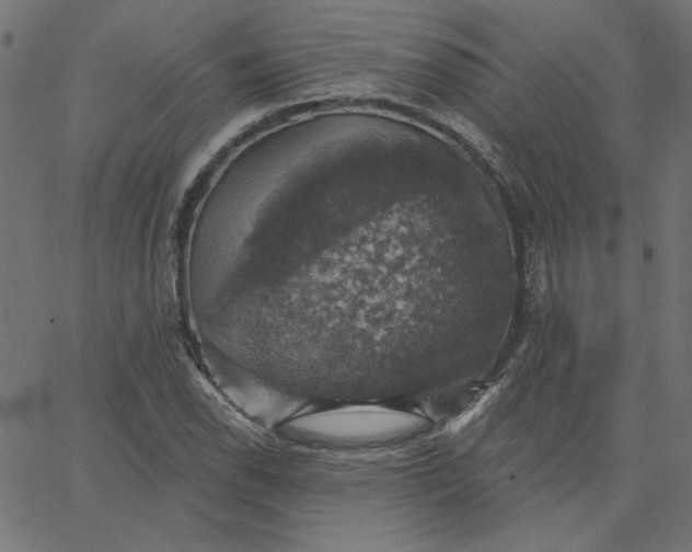 X0000067841118200604271613