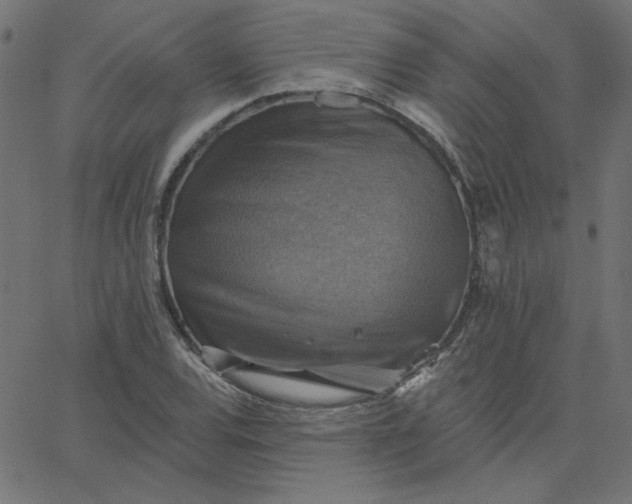 X0000067841120200604271613