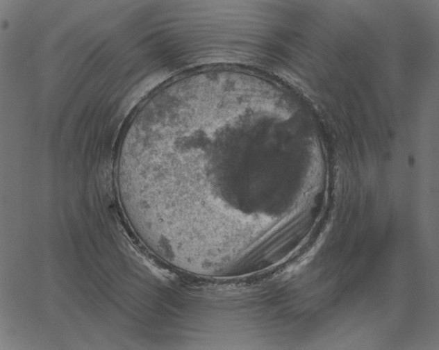 X0000067841121200604271613