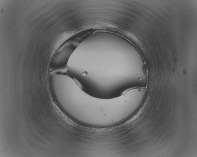 X0000067841122200604271613