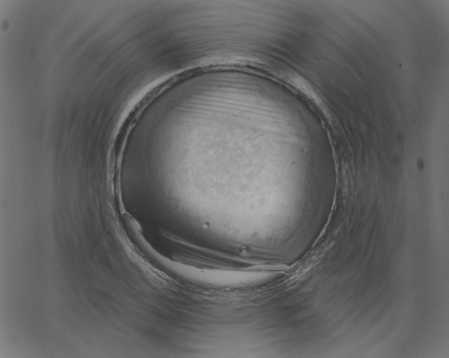 X0000067841124200604271613