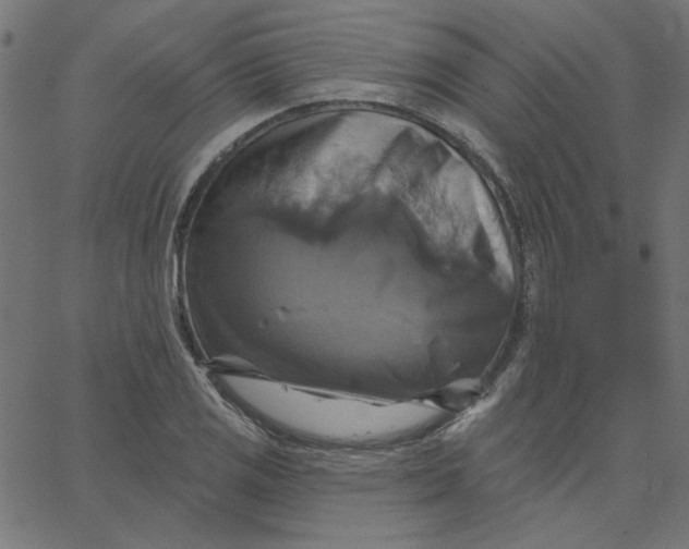 X0000067841125200604271613