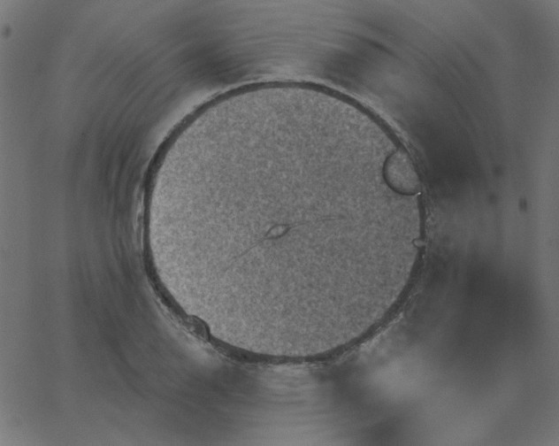 X0000067841126200604271613