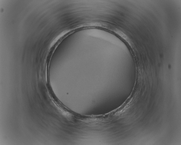 X0000067841127200604271613