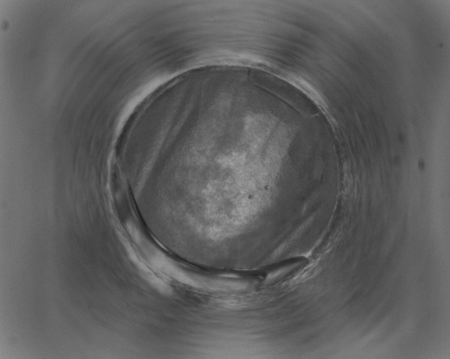 X0000067841128200604271613