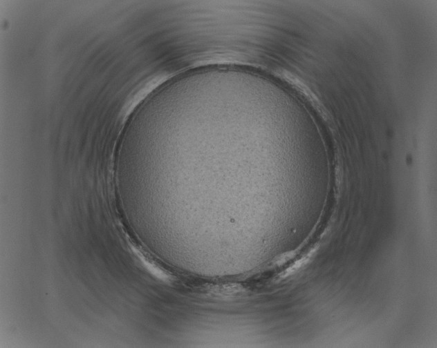 X0000067841129200604271613