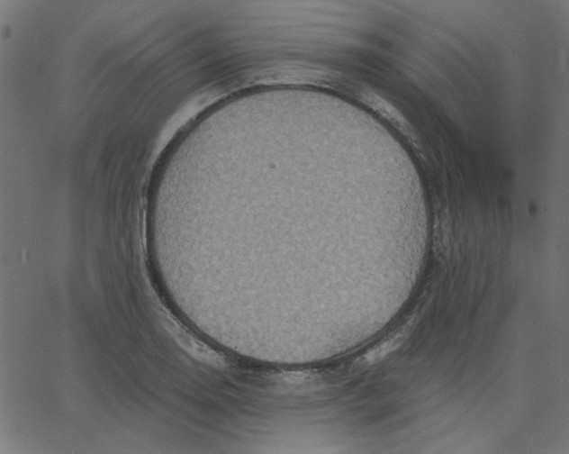 X0000067841130200604271613