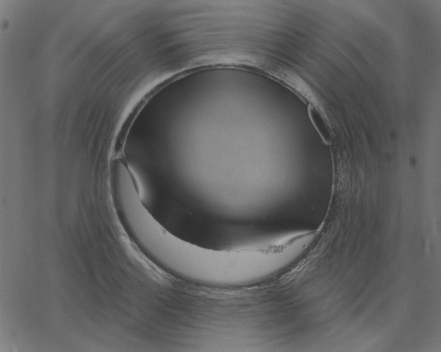 X0000067841132200604271613