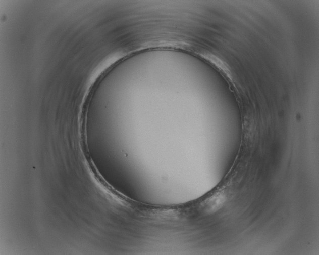 X0000067841135200604271613