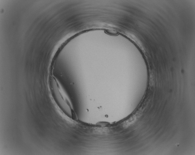 X0000067841136200604271613