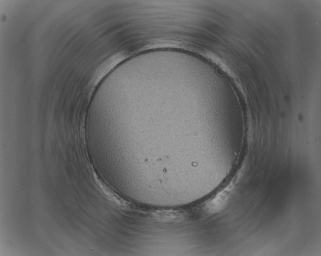 X0000067841137200604271613