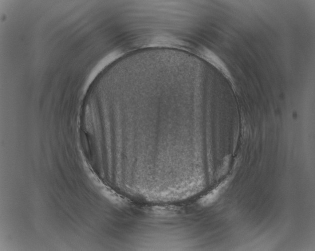 X0000067841138200604271613