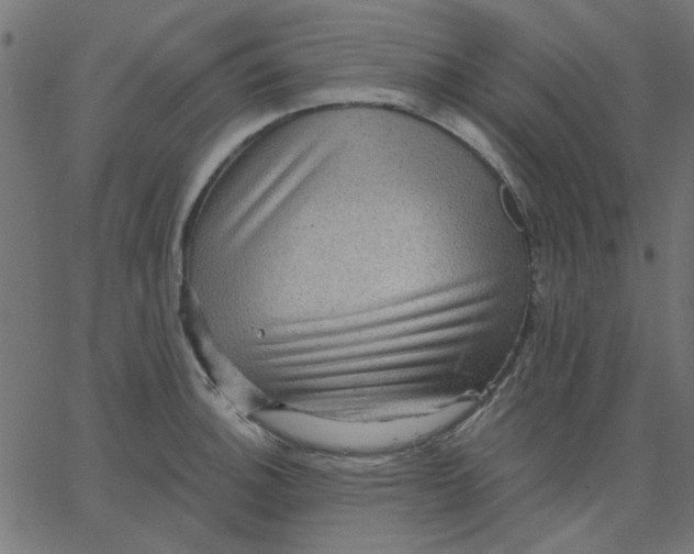 X0000067841140200604271613