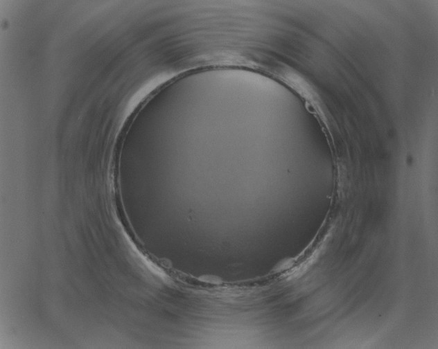 X0000067841141200604271613